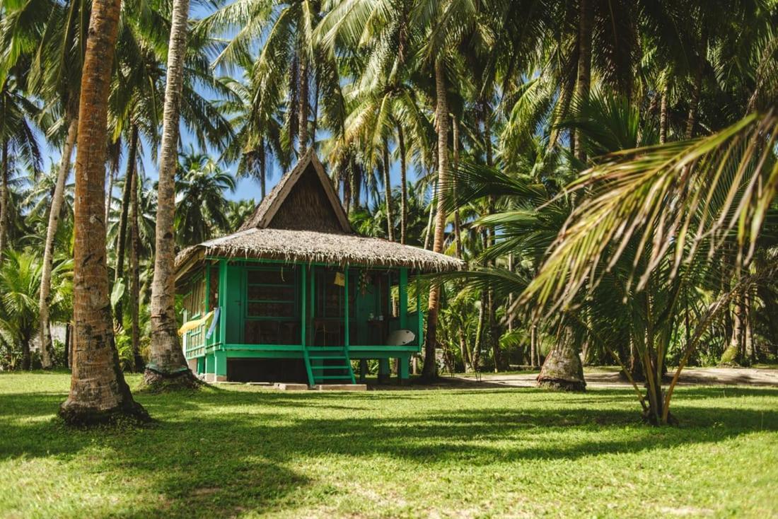 Pacifico Bigwish Beach Resort San Isidro  Ngoại thất bức ảnh
